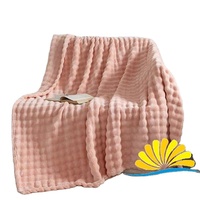 Échantillon gratuit disponible avec le prix d'usine couverture polaire de la compagnie aérienne couverture polaire en polyester couvertures en peluche polaire