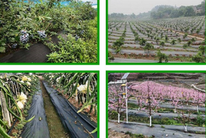 Nông nghiệp nhiệm vụ cao cảnh quan PP PE Weed kiểm soát UV nhựa cắt mặt đất che cỏ dại kiểm soát vải cỏ che đất - Product Image 5
