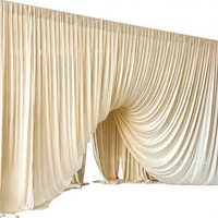 Rideaux en acrylique pour mariage, couleur crème/blanc cassé, style coréen, pour décoration de mariage, toile de fond, aménagement de scène d'hôtel, Chine