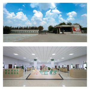 Beste Qualität Vegane konjugierte Linolsäure (CLA) Pulver lösungsmittel in Lebensmittel qualität Extrahierter Preis für hohe Konzentration - Product Image 2