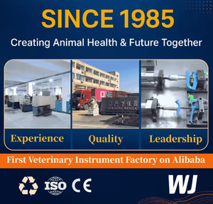 Pistola de Inyección Animal Reutilizable WANJIA, <span class=keywords><strong>Jeringa</strong></span> Continua de Acero Inoxidable para Uso Agrícola - Product Image 5