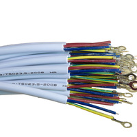 2*0,75 Quadrat RVV Instrumenten-Flachkabel Elektronisches Stromkabel Standardmantel PVC-Litzenkabel Internationaler Standard Verzinntes Kabel