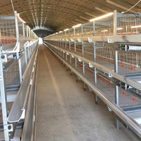 Nuevo Equipo de Cría de Aves de Corral, Jaula de Malla para Pollos, Marca NORTH&HUSBANDRY, Modelo 50 Pulgadas, 1 Año de Garantía