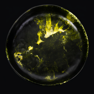 Assiette décorative ovale en résine écologique, résistante au lave-vaisselle, design artisanal, noire avec accents verts - Product Image 1