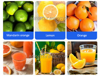 Presse-agrumes à double rouleau pour agrumes, orange et citron Presse-agrumes industriel automatique pour fruits