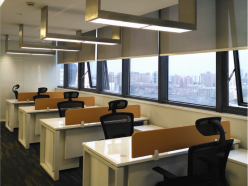 POYAL 25mm Tuya Smart Electric Wifi Control Tubular Motor ciego con cadena para persianas eléctricas - Product Image 6