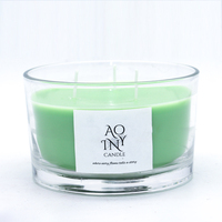 Bougie en cire de soja Aoyin dans un bocal en verre transparent avec couvercle, mèche en coton aromatique, bougies parfumées de qualité supérieure