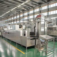 Ligne de production de beurre de cacahuète entièrement automatique continue, fabrication de houmous, de tahini, de pâte de graines de sésame, y compris le moulin à riz, neuf et d'occasion