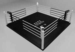 Nuevo estilo, venta al por mayor, equipo de gimnasio de <span class=keywords><strong>boxeo</strong></span> de suelo de campeonato portátil profesional, anillos de <span class=keywords><strong>boxeo</strong></span> para <span class=keywords><strong>Club</strong></span> DE <span class=keywords><strong>BOXEO</strong></span> - Product Image 6