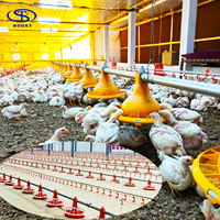 Mangeoires et abreuvoirs pour poulets, équipement avicole, conception d'élevage de poulets, couveuse pour volailles, équipement d'élevage, abreuvoir à tétine