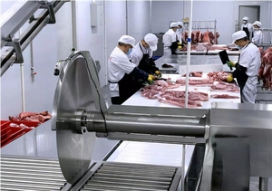 पूर्ण स्वचालित मांस प्रसंस्करण फैक्टरी सुअर शरीर काटने डिस्क देखा का उपयोग करता है - Product Image 3