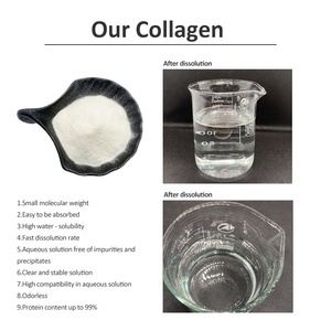 Food Grade Fish <strong>Collagen</strong> <strong>Peptide</strong> Hydrolyzed <strong>Marine</strong> <strong>Collagen</strong> Powder | High Water Solubility | GMP Manufacturer Supply Bulk - Product Image 2