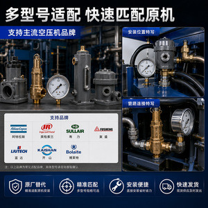 Soupape d'admission à bille pour compresseur d'air Solant, pièce de rechange industrielle pour compresseur - Product Image 4