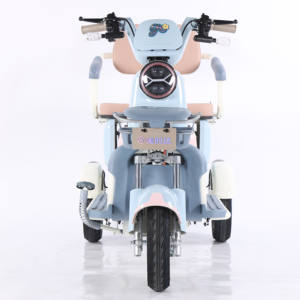 Scooter électrique adulte 48V à 3 roues, cadre en acier, avec moteur sans balais 600W, batterie au plomb-acide, frein hydraulique - Product Image 1