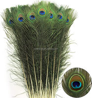 Plumes de paon naturelles de haute qualité en vrac pour la décoration de mariage, la décoration de la maison, les fêtes, les vêtements et les robes