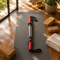 Poignée de musculation réglable en acier à ressort pour hommes – Outil multifonctionnel d'entraînement des bras et des pectoraux – Barre de force à ressort pour fitness