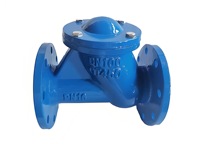 Clapet anti-retour à bride en fonte ductile DN50 PN16 pour conduites d'eau et d'égouts. Vente en gros d'usine, personnalisation disponible.