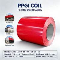 Bobines d'acier prélaqué PPGI durables, couleur RAL personnalisée, anti-corrosion, tôle de toiture PPGI, tôle ondulée PPGI revêtue de PVDF Z275