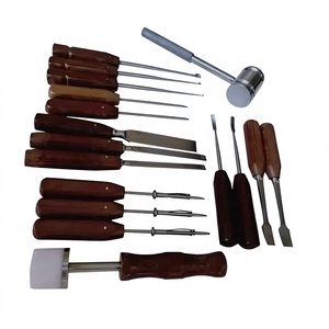 Kit de Herramientas Quirúrgicas Ortopédicas, Kit de 17 Piezas de Acero Inoxidable para Cirugía Ósea, Set de Entrenamiento Médico Veterinario - Product Image 1