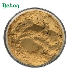 Оптовая продажа натурального экстракта гамамелиса (Hamamelis Virginiana) в порошке, концентрация 10:1 и 20:1 - Product Image 2