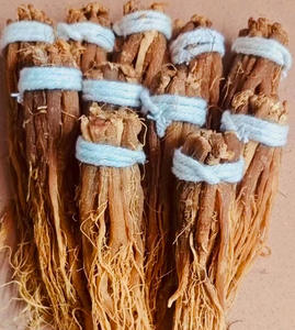 Toptan fiyat doğal kurutulmuş kırmızı <span class=keywords><strong>ginseng</strong></span> lifli kökleri - Product Image 6