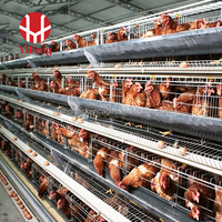 Cage à poulets de chair de type H, cage à poulets de chair à 3 niveaux avec plancher en plastique, système d'évacuation automatique du fumier, abreuvoir à tétine, élevage avicole haute densité