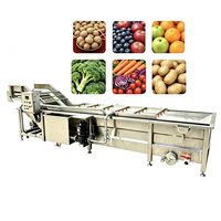 Goede prestatie verse fruit mango appel reinigingsmachine luchtbel groentewasmachine productielijn