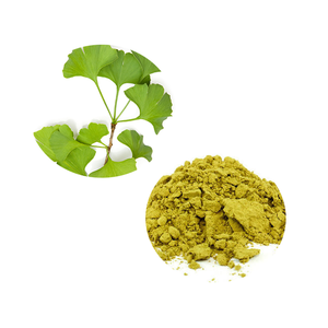 Extrait de feuilles de <span class=keywords><strong>Ginkgo</strong></span> <span class=keywords><strong>Biloba</strong></span> en poudre, 24% saveur, 6% débardeur, 30 ml, meilleur prix - Product Image 3