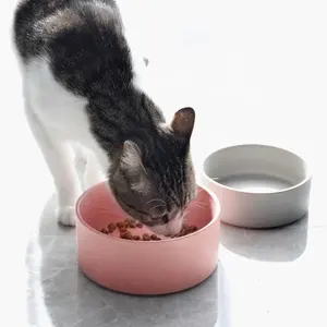 Biyobozunur özel kedi köpek hayvan mama kabı Pet seramik kase besleyici İçme suyu yiyecek kasesi paslanmaz çelik standı ile