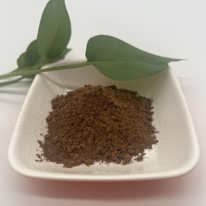 天然イチョウ葉エキスハーブエキス粉末24％フラボノイド配糖体6％ラクトンドラム真空包装ISO認証済み - Product Image 3