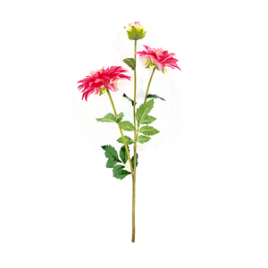 Đám Cưới Nhân Tạo Trang Trí Giả Bó Hoa Cưới Và Trong Nhà Trang Trí Nhân Tạo Hoa Cho Giáng Sinh Nở - Product Image 5