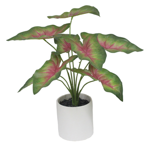MINI plantes de TABLE pour la décoration, nouveau STYLE - Product Image 2