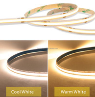 Bande lumineuse LED intelligente flexible COB Benory KNX DMX PWM Loxone Dali 24V CCT à lumière blanche réglable 5M/10M Rouleau CRI90 624 LED