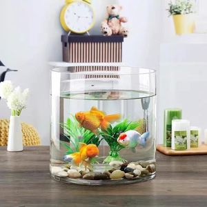ถังแก้วขนาดเล็กสำหรับใส่ปลาในห้องนั่งเล่นสุดสร้างสรรค์ - Product Image 6