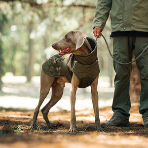 Chaqueta de Lujo para Perro Galgo de Poliéster, Abrigo de Moda para Mascotas de Primavera e Invierno, Diseño Elegante de Ropa para Cachorros - Product Image 1