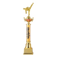 Trophée de compétition de Taekwondo Honor, souvenir, trophée personnalisé avec logo, trophées de récompense