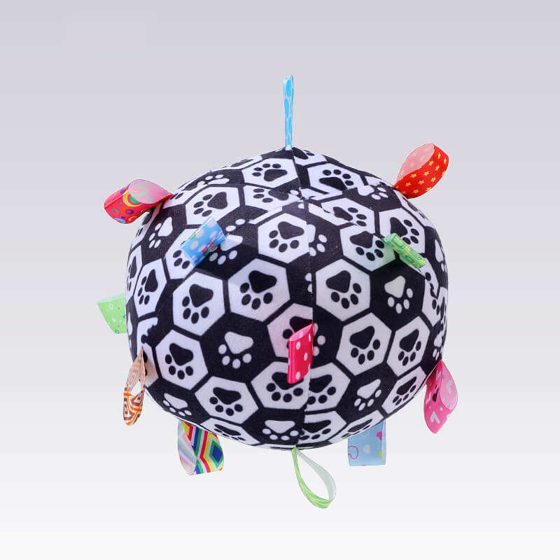 รอยเท้า