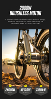 Vélo S600 48V 17.5Ah avec frein à disque hydraulique, moteur de moyeu arrière, amortisseur à ressort, cadre en alliage d'aluminium, Shimano 7 vitesses, pneus larges