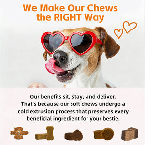 Integratore Liquido Premium Ciwei per la Salute Intestinale degli Animali Domestici con Xilolo-glicosacaridi, Glutammina ed Estratto di Igname - Supporta la Digestione e l'Immunità dei Cani - Product Image 4