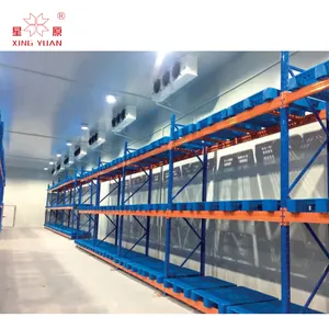 Best Quality Chicken And Meat Cold Room Fish Cold Storage And Packing Freezer Cold Room For Fish And Meat