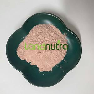 100% frutta naturale 17% 25% vitamine per uso alimentare estratto di ciliegia Acerola in polvere - Product Image 2