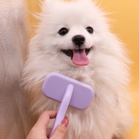 Brosse démêlante pour animaux de compagnie chiens chats, écologique, en PP, avec picots en acier inoxydable, outil de toilettage doux massant, autonettoyante, à un seul bouton pour éliminer les poils