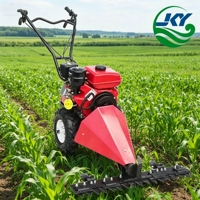 Tondeuse à gazon manuelle à pousser, coupe-herbe portable pour jardin, cour, ferme, villa