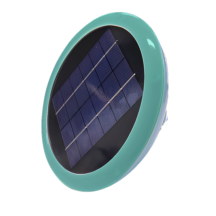 Summer Portable Compact Night Light Chlorine Removal Water Purification Pool Accessories Solar Pool Ionizer SUNRAY SR005