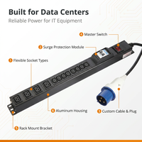 PDU de serveur en rack 1U en alliage d'aluminium certifié CE ETL IEC avec cordon d'alimentation 14AWG pour la gestion informatique des réseaux