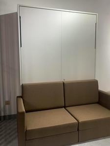 Custom Modern Steel Hidden Murphy <strong>Bed</strong> Saving Space Twin Queen Size Convertible <strong>Folding</strong> Wall <strong>Beds</strong> with <strong>Sofa</strong> Bedroom Furniture - Product Image 6