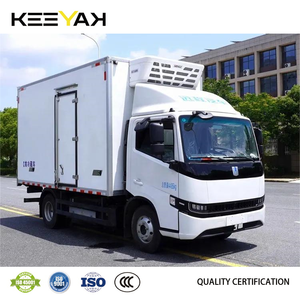 Pratico furgone elettrico Geely furgone prezzo di fabbrica Catl batteria furgoni elettrici e camion di alta qualità nuovo Design camion elettrico - Product Image 6