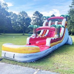 Structure gonflable aquatique commerciale de 13 pieds pour enfants, avec toboggan aquatique en forme de dauphin, pour fêtes d'été dans le jardin. - Product Image 6