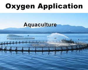 Il generatore di ossigeno Generador De Oxigeno PSA 30Nm 3/hr di NEWTEK 95% fornisce servizi gratuiti di installazione in loco - Product Image 6