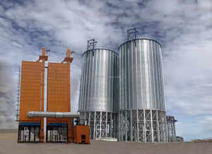 100 tonnes 300 tonnes 500 tonnes 1000 tonnes Capacité du silo Silo de stockage de céréales Maïs Prix du silo en acier - Product Image 6